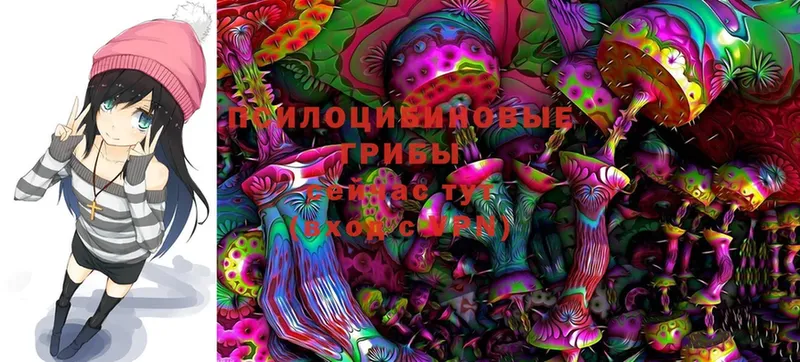 ссылка на мегу онион  Искитим  Галлюциногенные грибы Psilocybine cubensis 